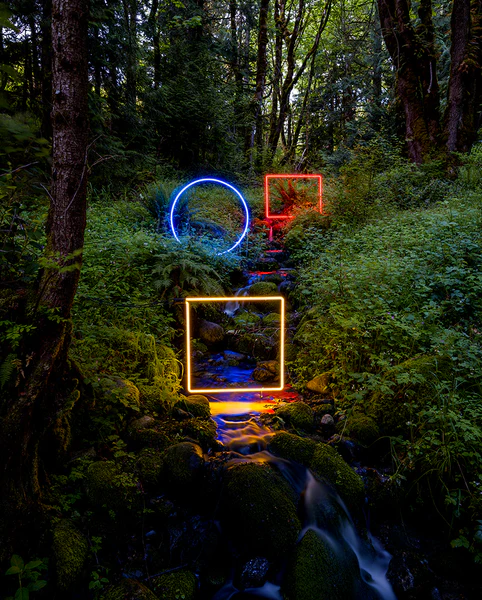 FernkopfMAGICMEADOWweb_3c7e8100-7457-4321-a427-f2a51c8daf94_grande