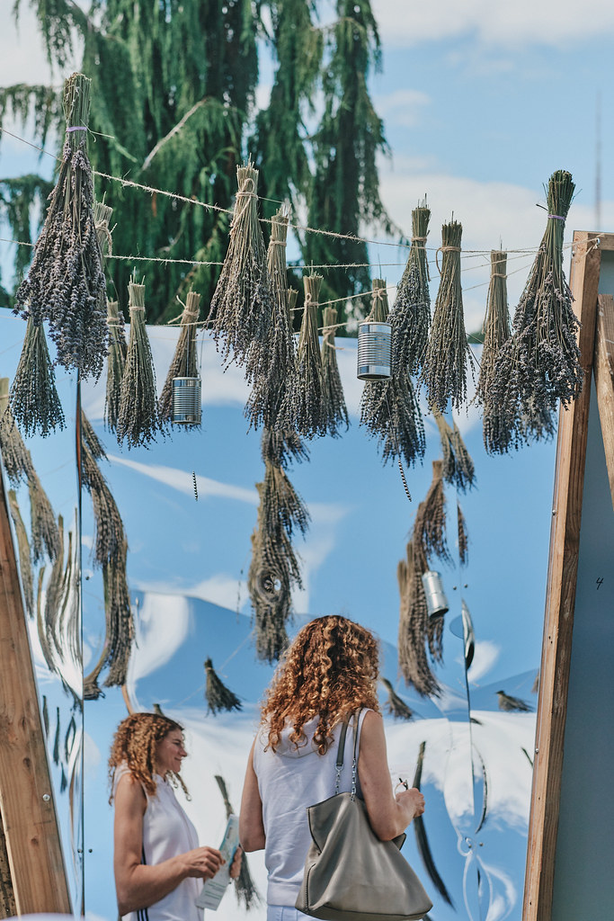 54749266853_b98c8ebc9c_b