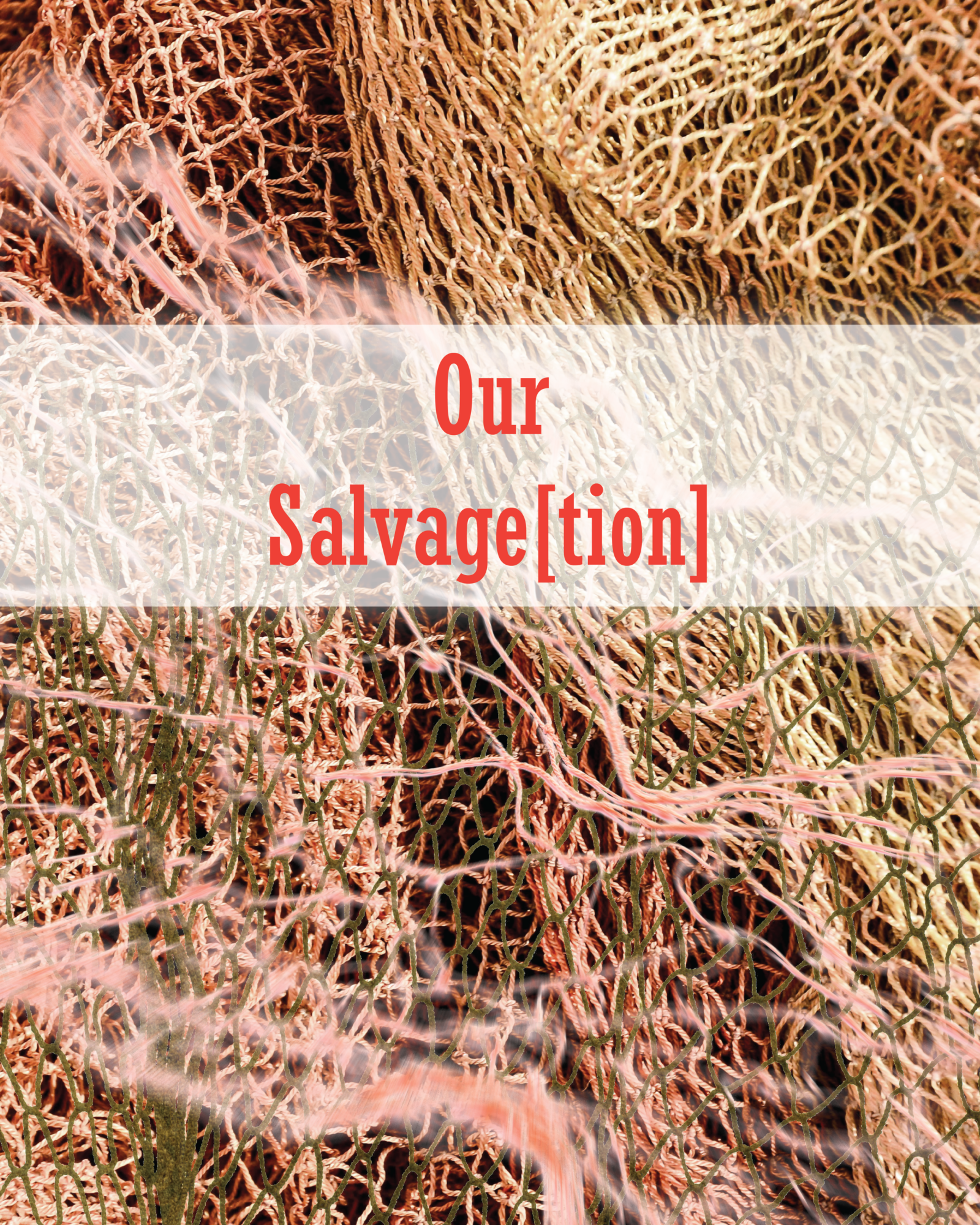Our_Salvagetion_AHBL